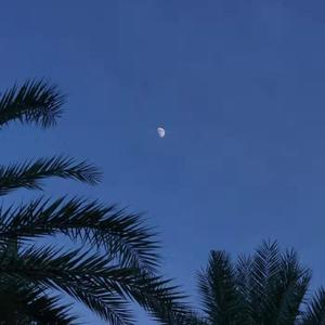 日寇抓越南女兵满天星
