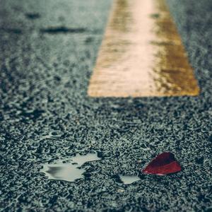 小泬BBBBBB免费看
