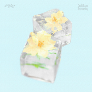 赖俊与沈莹的第二次相遇与相处
