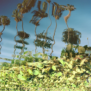 赖俊与沈莹的第二次相遇与相处
