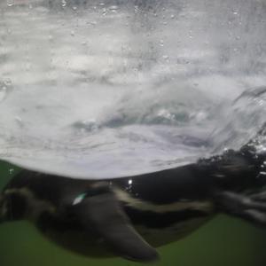 虞雯人体艺术写真
