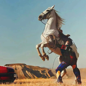 日本丰满骚妇乱伦
