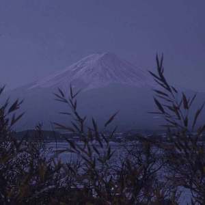 虞雯人体艺术写真
