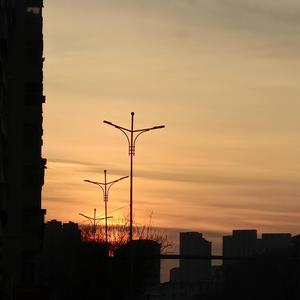 日本男添女逼性爱毛片
