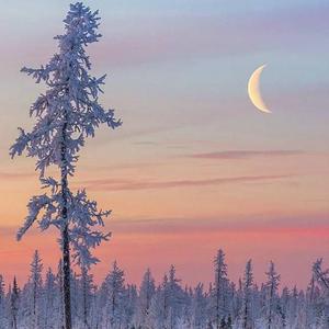 虞雯人体艺术写真
