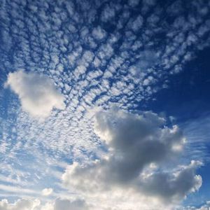 小泬BBBBBB免费看
