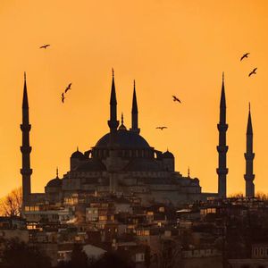 丰满人妻少妇精品无码
